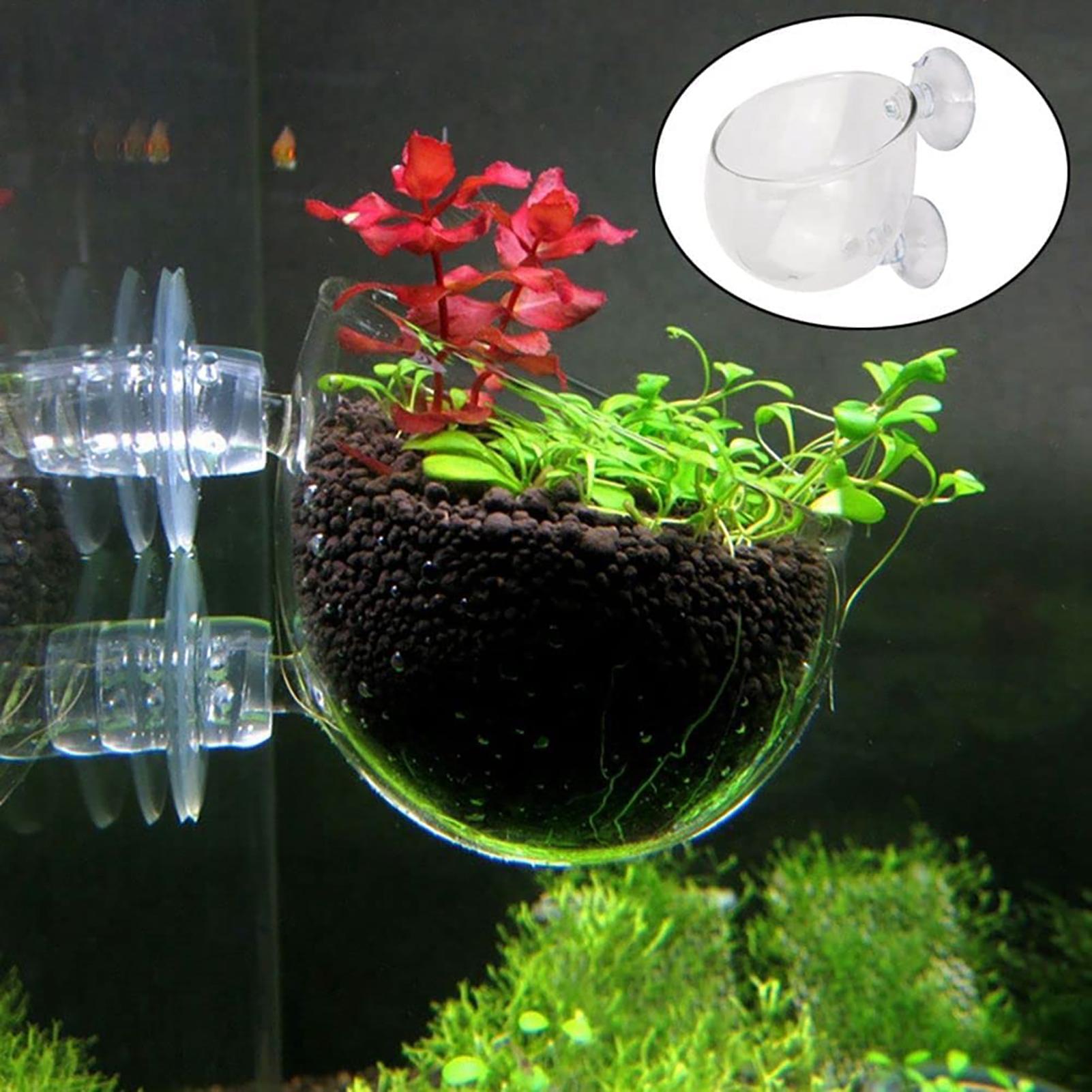 Aquarium Fish Pot - Pot Tanaman Air Akrilik Bening dengan