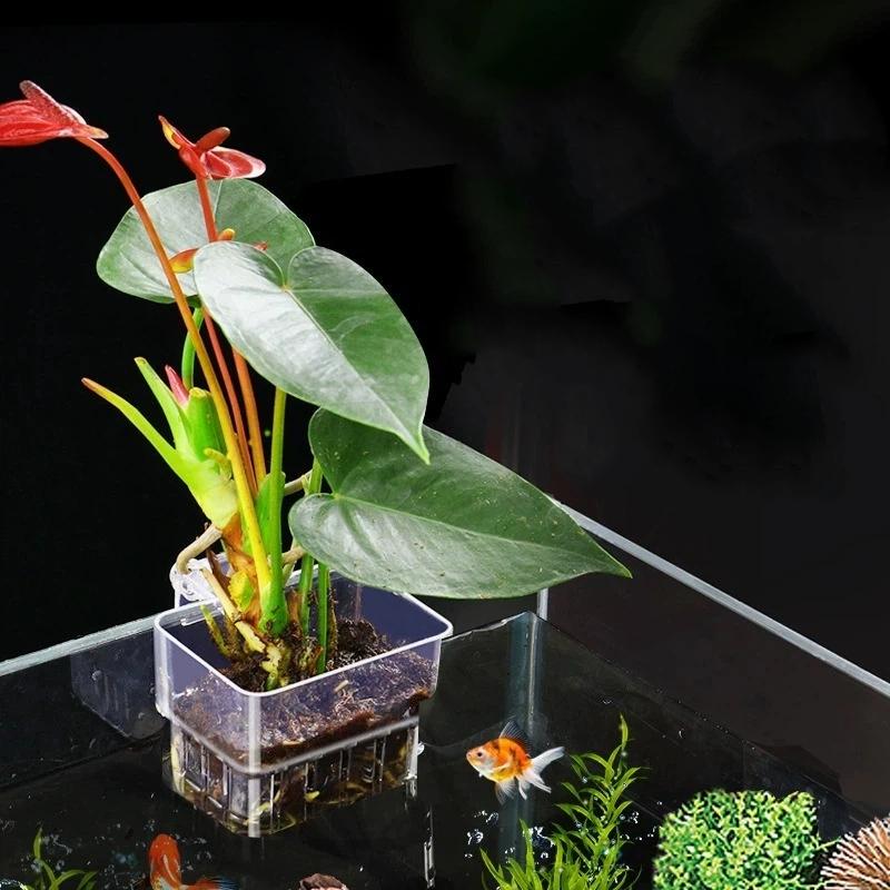 Pot Tanaman Akuarium Transpara - Aquarium Fish Pot ulasan dan harga