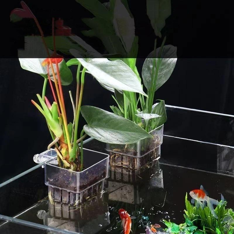 Pot Tanaman Akuarium Transpara - Aquarium Fish Pot ulasan dan harga