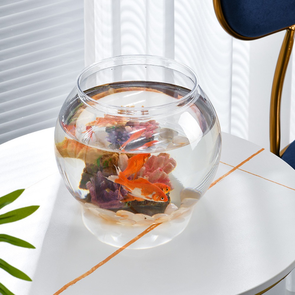 Akuarium Meja Transparan Bulat - Live Fish Aquarium ulasan dan harga