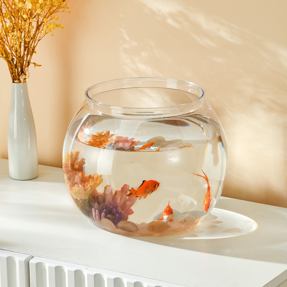 Akuarium Meja Transparan Bulat - Live Fish Aquarium ulasan dan harga