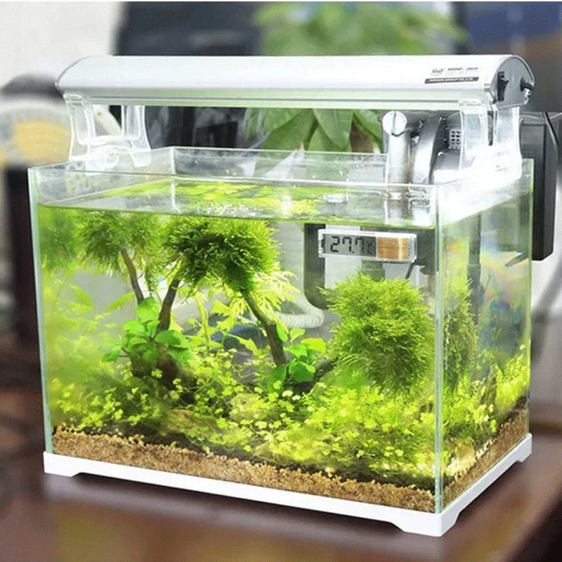 Termometer Akuarium Elektronik - Aquarium Fish Uk ulasan dan harga