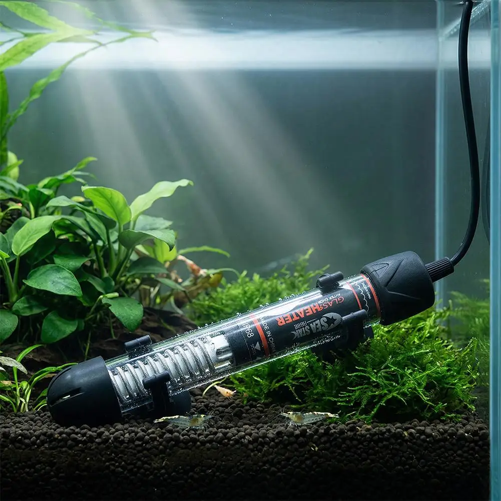 Pemanas Akuarium yang Dapat Di - Aquarium Fish Cold Water ulasan dan harga