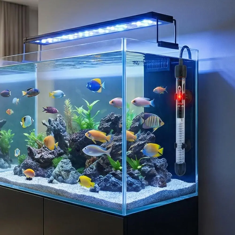 Pemanas Akuarium yang Dapat Di - Aquarium Fish Cold Water ulasan dan harga