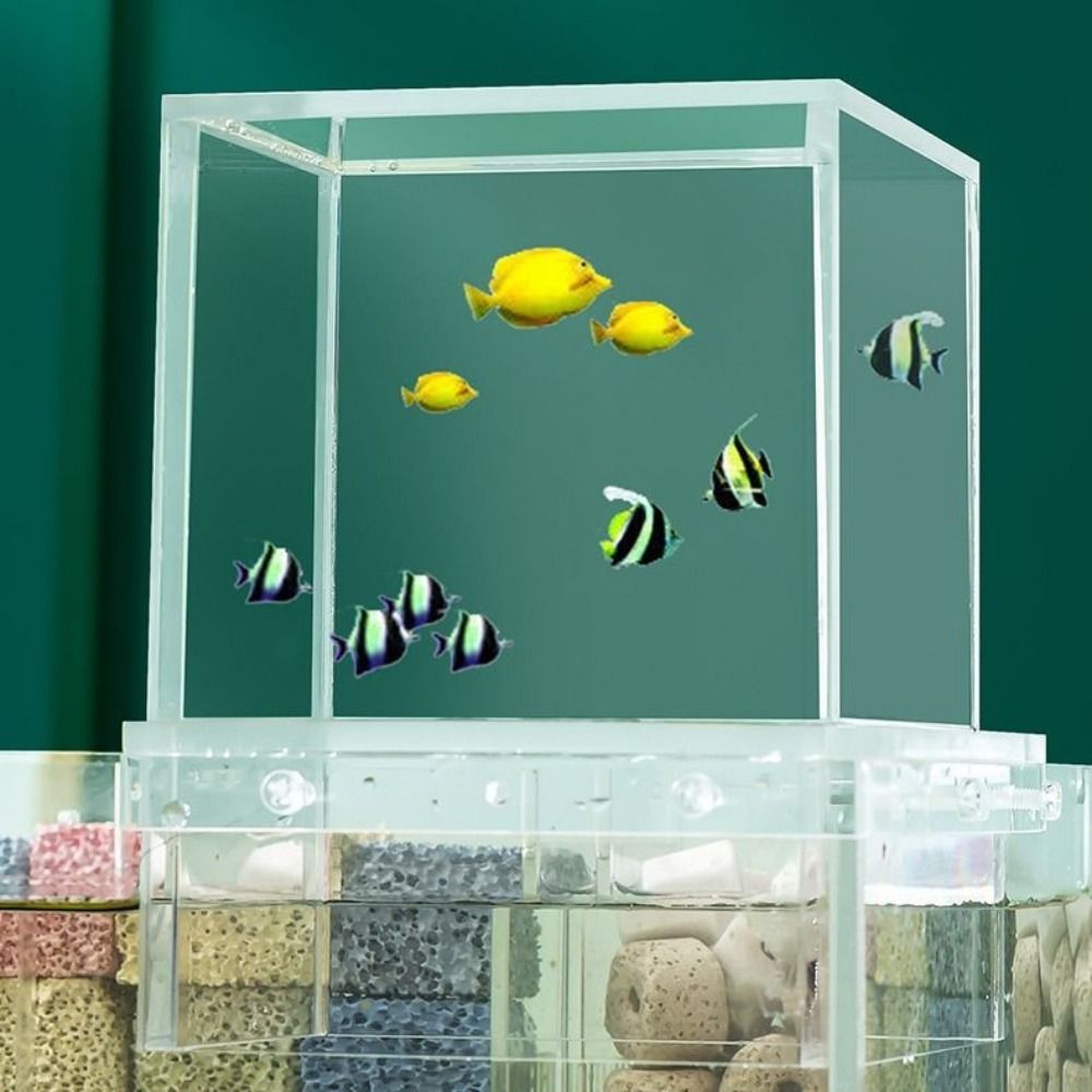Akuarium Tekanan Negatif untuk - Aquarium Fish Pot ulasan dan harga