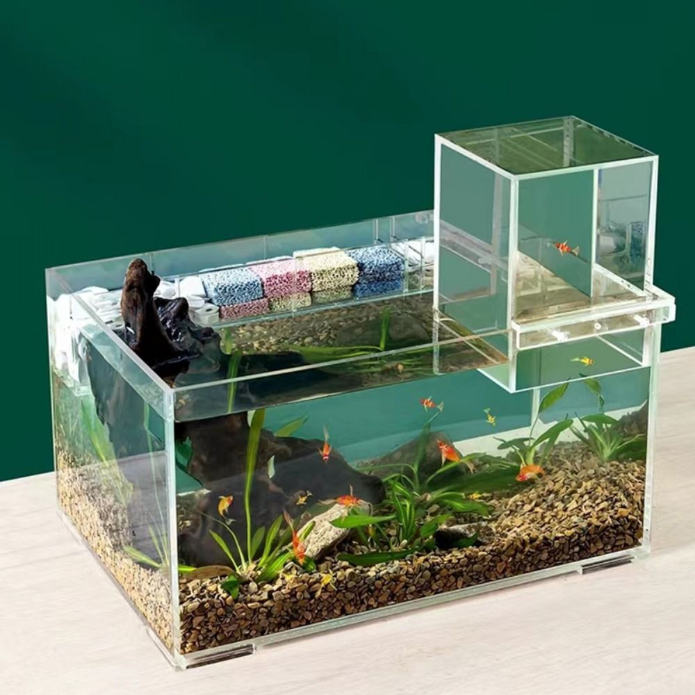 Akuarium Tekanan Negatif untuk - Aquarium Fish Pot ulasan dan harga