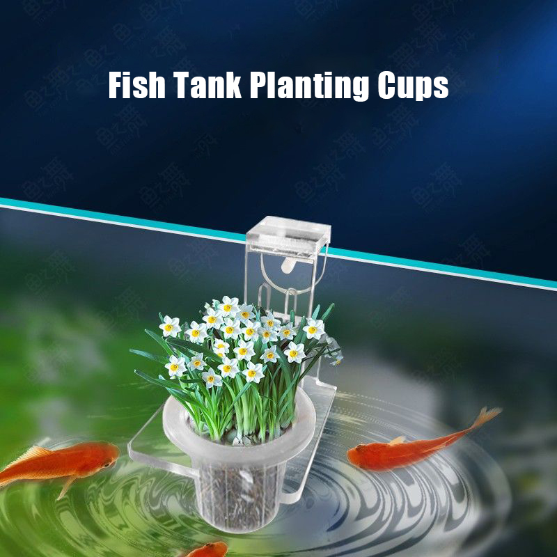 Cangkir tanam tangki ikan, pen - Aquarium Fish Pot ulasan dan harga