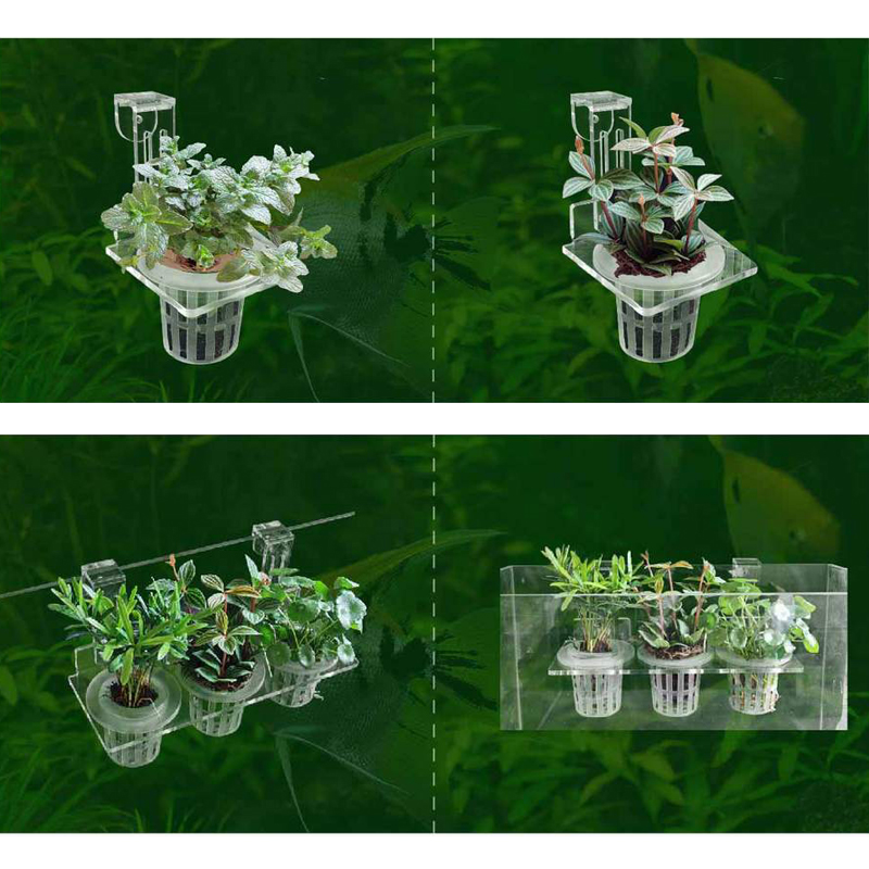 Cangkir tanam tangki ikan, pen - Aquarium Fish Pot ulasan dan harga
