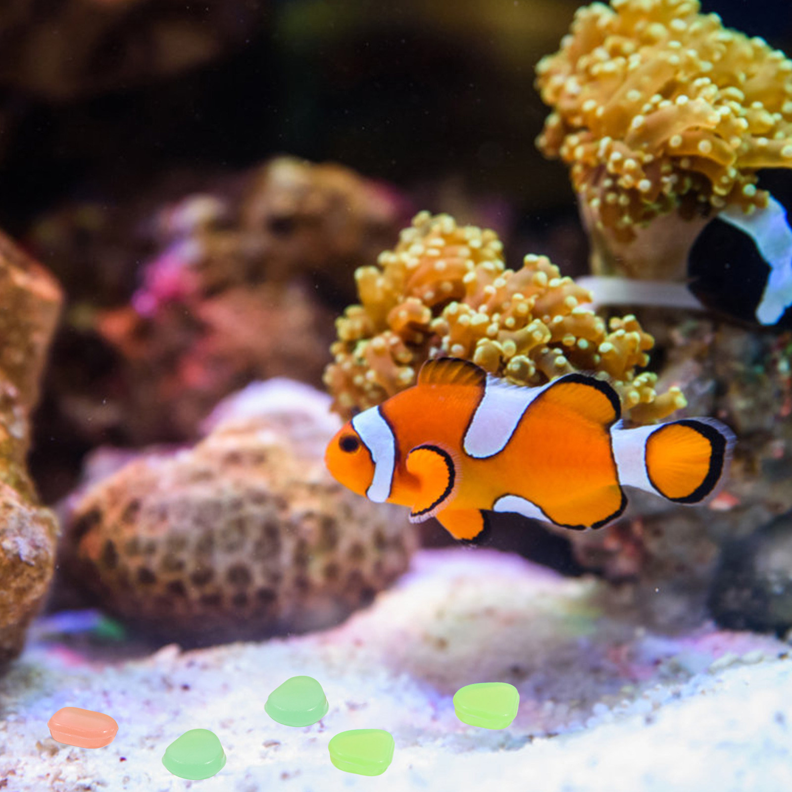 400 Buah Batu Kerikil Bercahay - Aquarium Fish Glow In The Dark ulasan dan harga