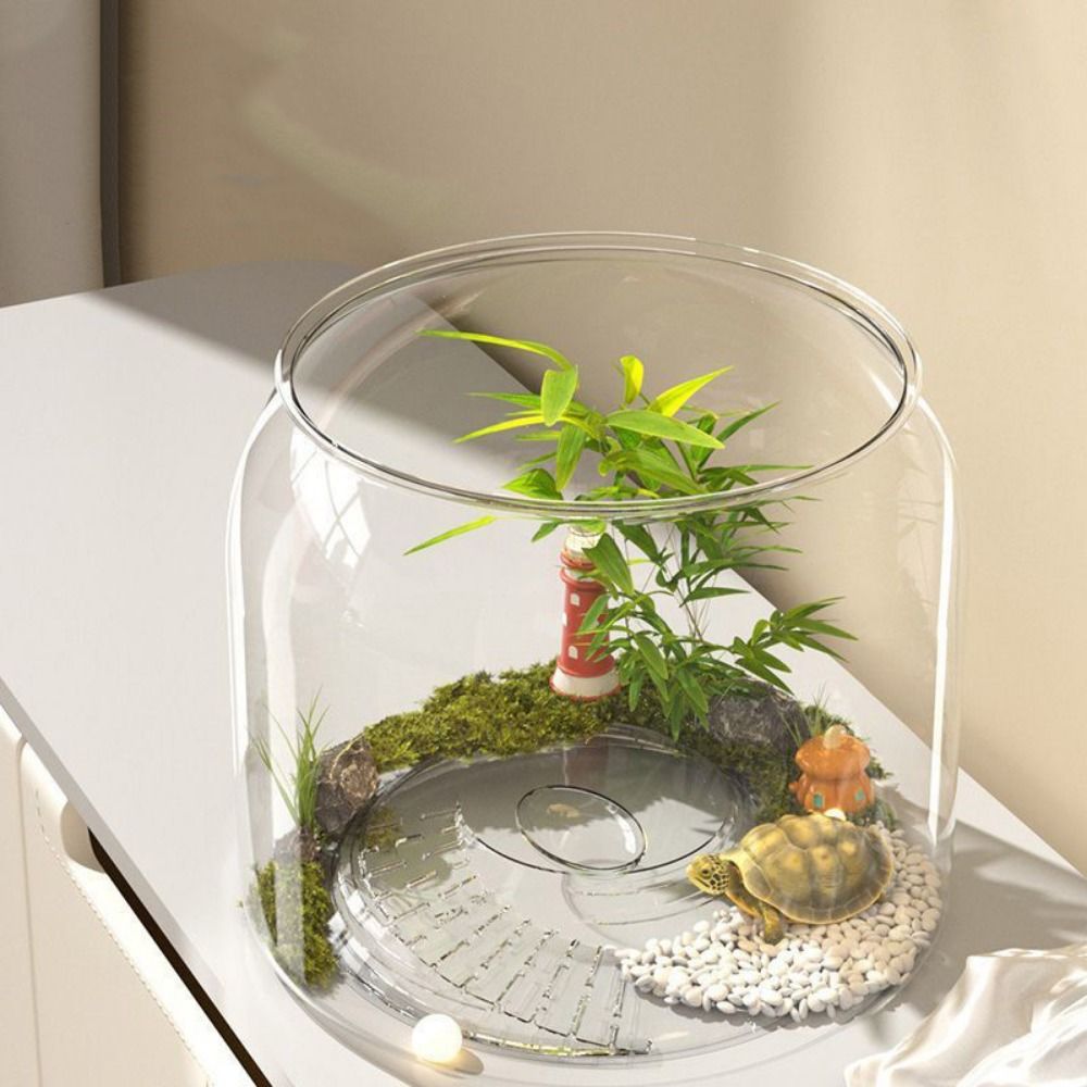 Tangki Ikan Bulat Transparan P - Live Fish Aquarium ulasan dan harga