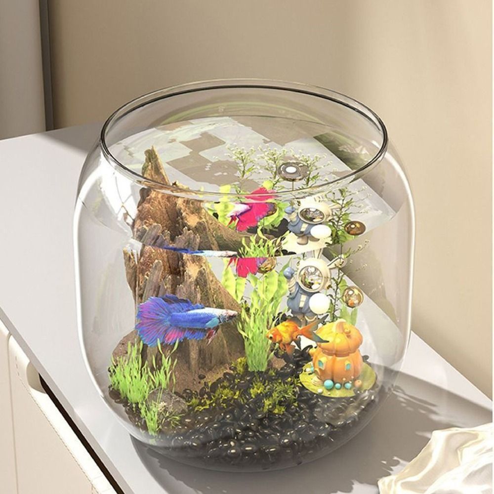 Tangki Ikan Bulat Transparan P - Live Fish Aquarium ulasan dan harga