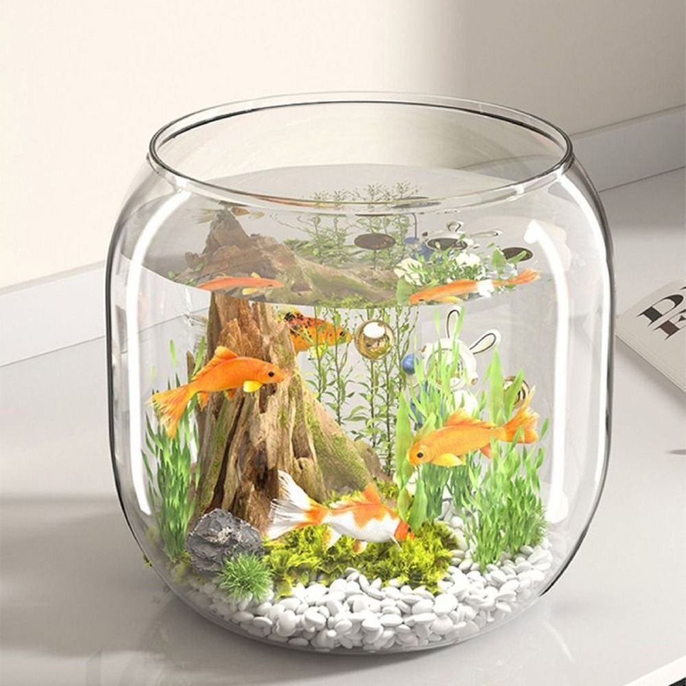 Tangki Ikan Bulat Transparan P - Live Fish Aquarium ulasan dan harga