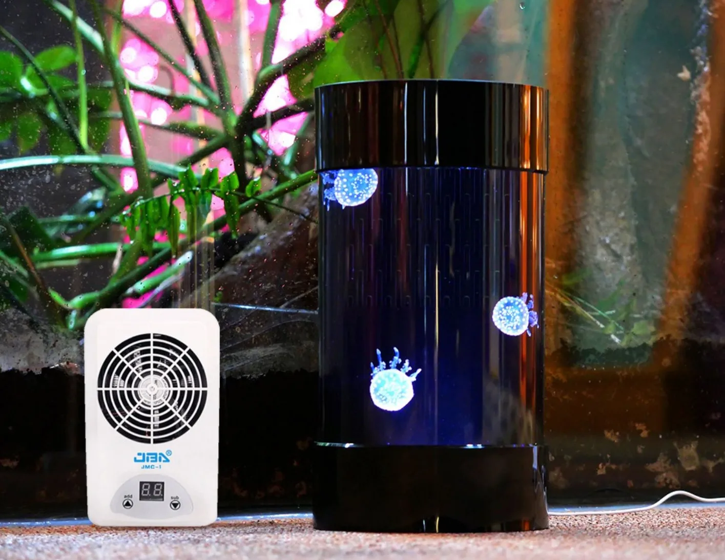 Akuarium Ubur-ubur Silinder Te - Aquarium Fish In Amazon ulasan dan harga