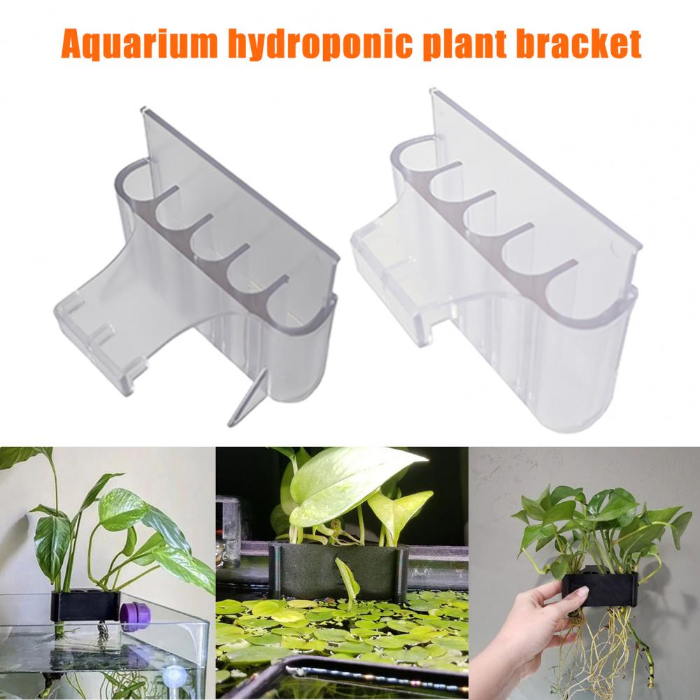 4.5/6.5Cm Tempat Tanaman Akuar - Aquarium Fish Pot ulasan dan harga