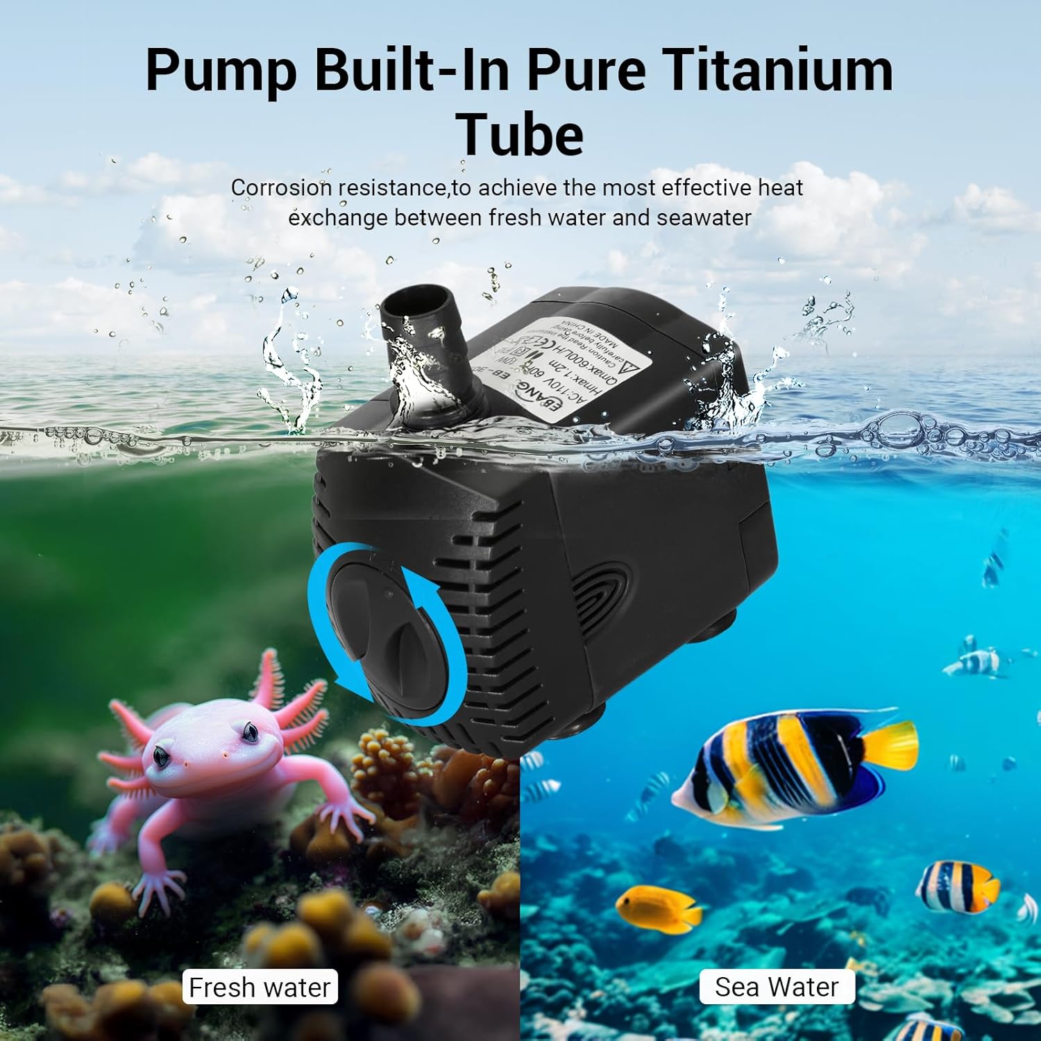 Pendingin Akuarium 79 gal 1/3  - Aquarium Fish Cold Water ulasan dan harga