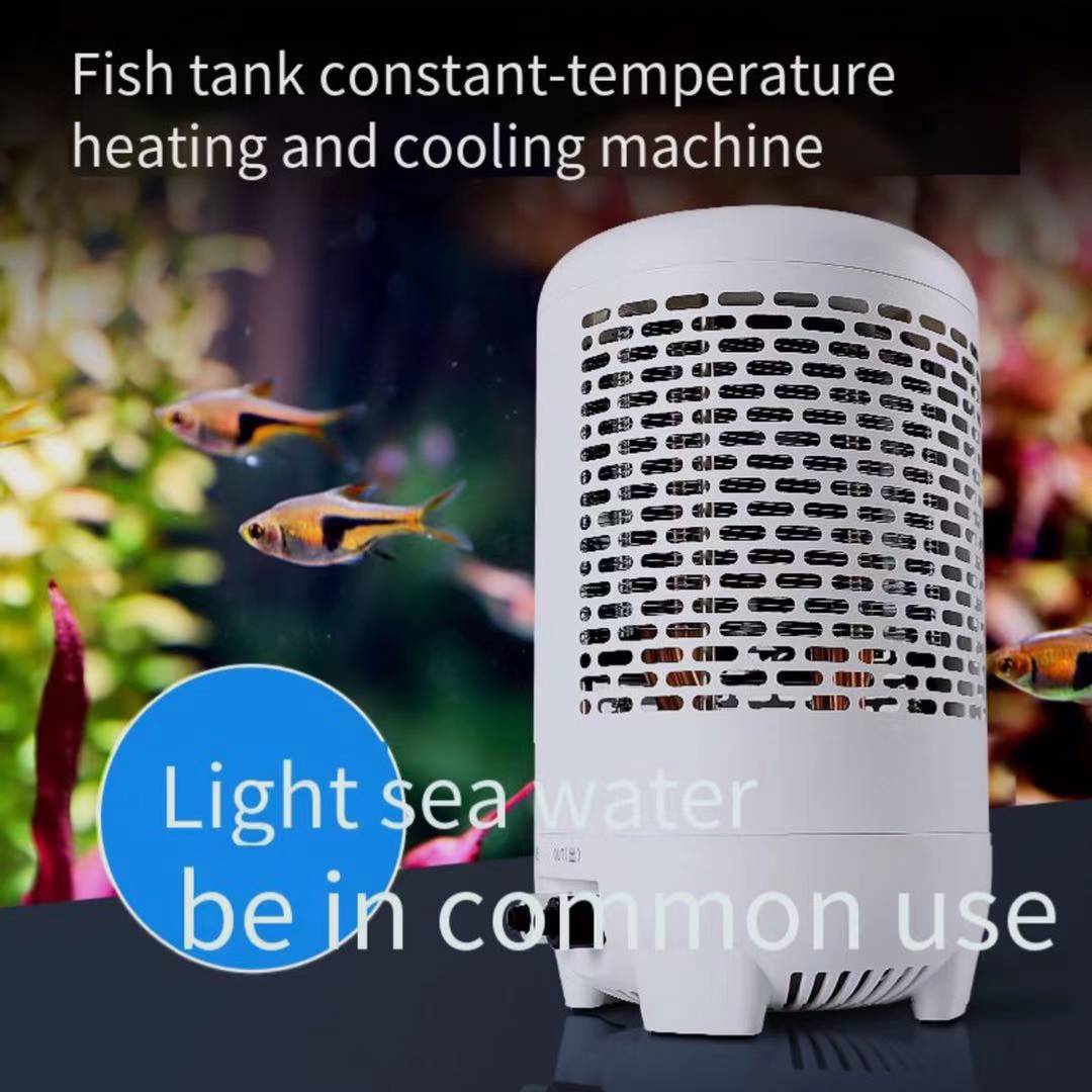 Tangki Ikan Chiller Tangki Ubu - Aquarium Fish Uk ulasan dan harga