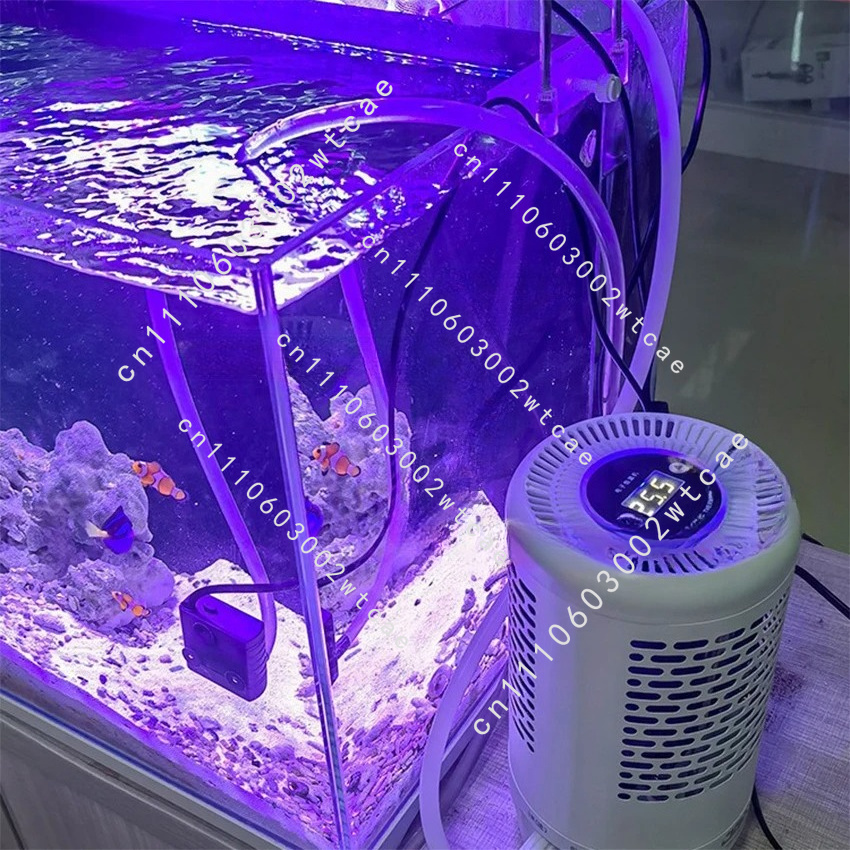 Pendingin Akuarium dengan Kont - Aquarium Fish Cold Water ulasan dan harga