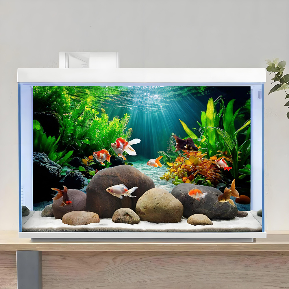 Surga Tanaman Air Berwarna-war - Aquarium Fish Paradise ulasan dan harga
