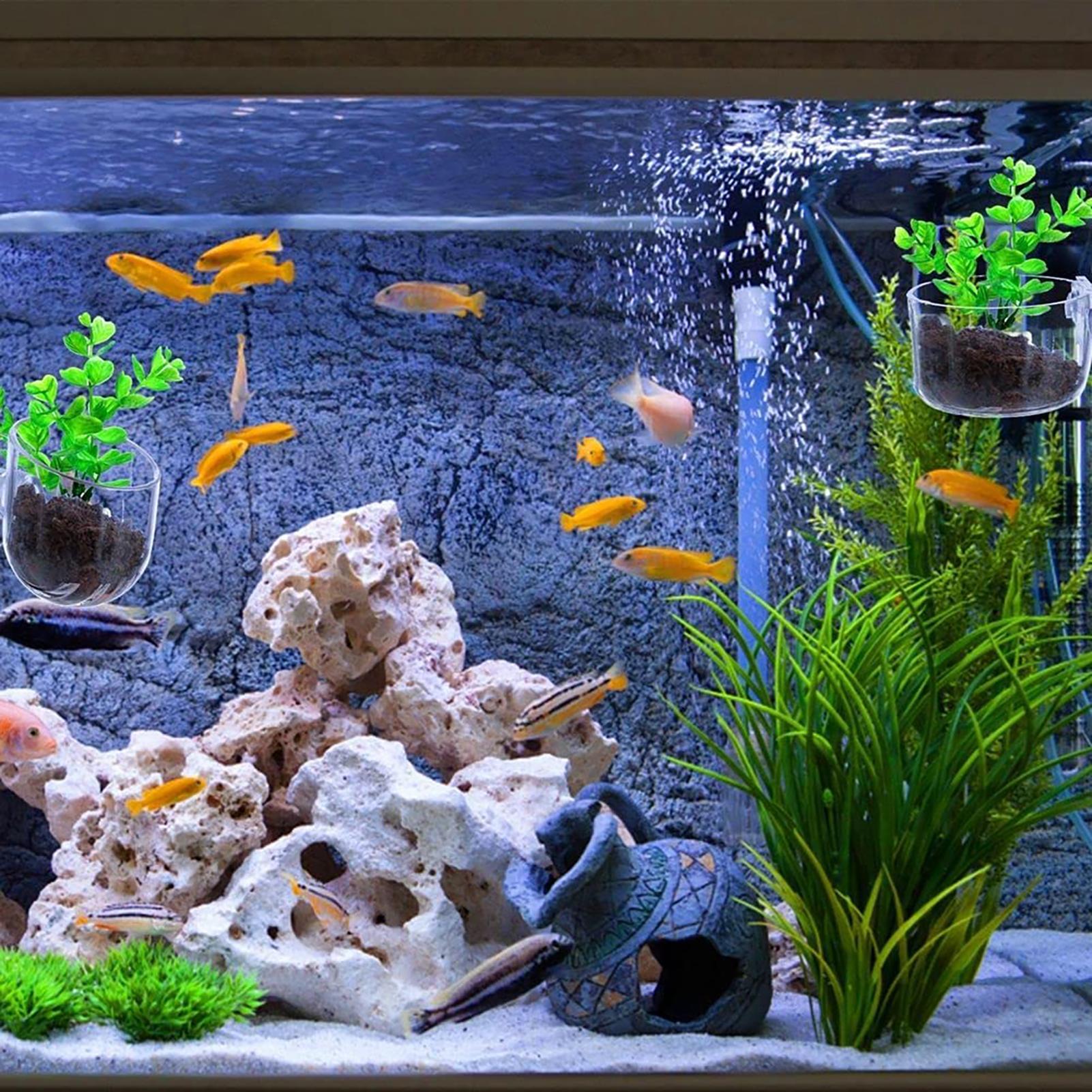 Pot Tanaman Air Akrilik Bening - Aquarium Fish Pot ulasan dan harga