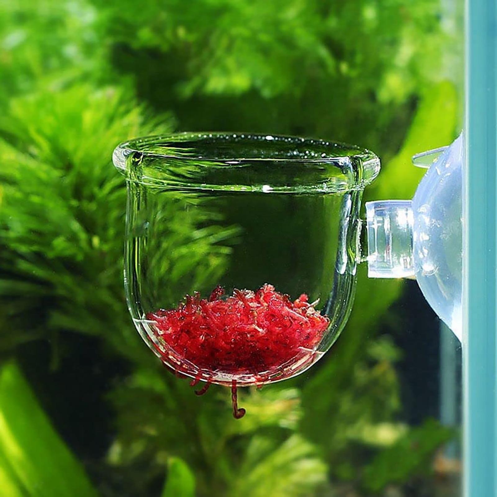 Pot Tanaman Air Akrilik Bening - Aquarium Fish Pot ulasan dan harga