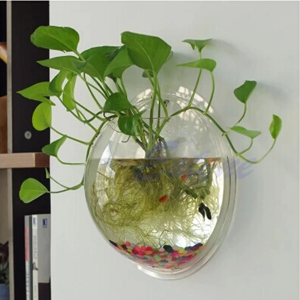 Pot Hiasan Dinding Mount Gelem - Aquarium Fish Pot ulasan dan harga