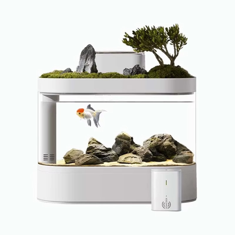 Akuarium Ikan Pintar untuk Mej - Aquarium Fish Feeder Automatic ulasan dan harga