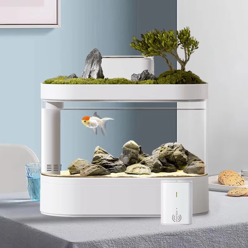 Akuarium Ikan Pintar untuk Mej - Aquarium Fish Feeder Automatic ulasan dan harga