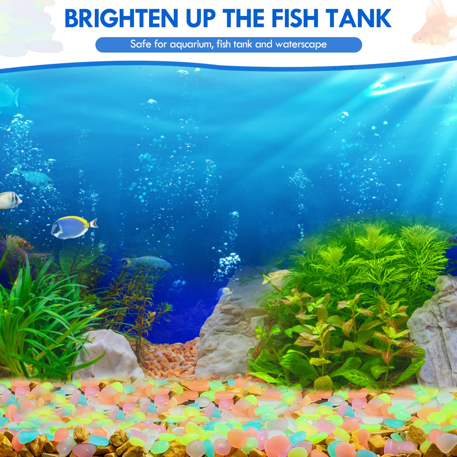 100 buah kerikil taman menyala - Aquarium Fish Glow In The Dark ulasan dan harga