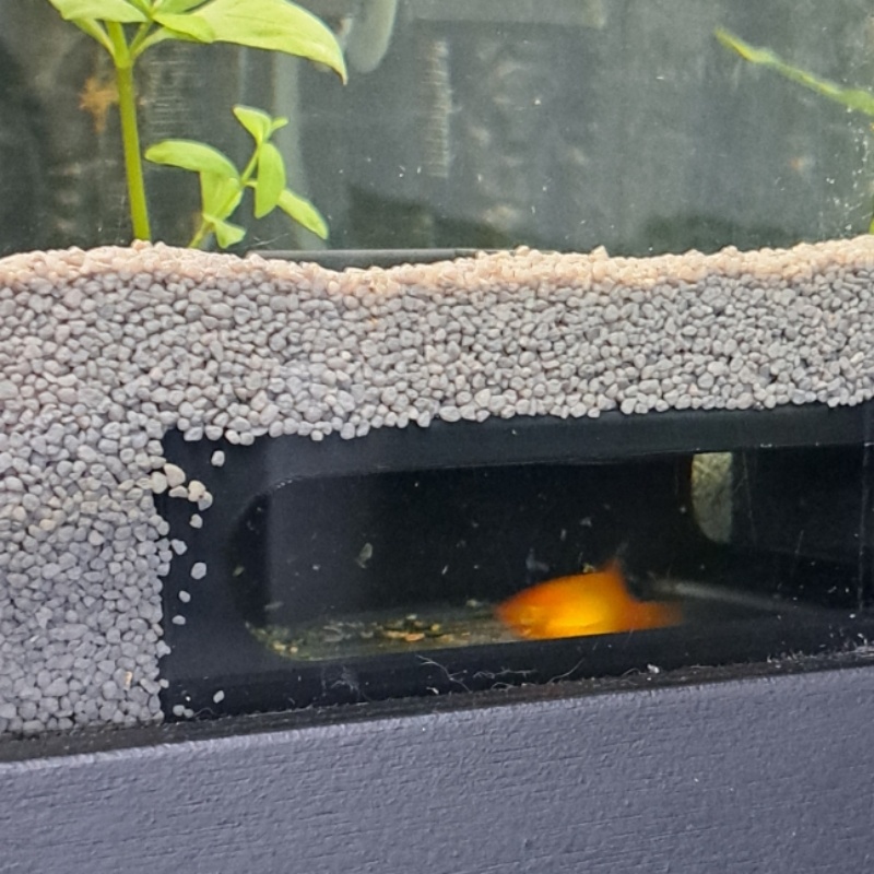 Dekorasi Set Akuarium Setengah - Aquarium Fish Paradise ulasan dan harga