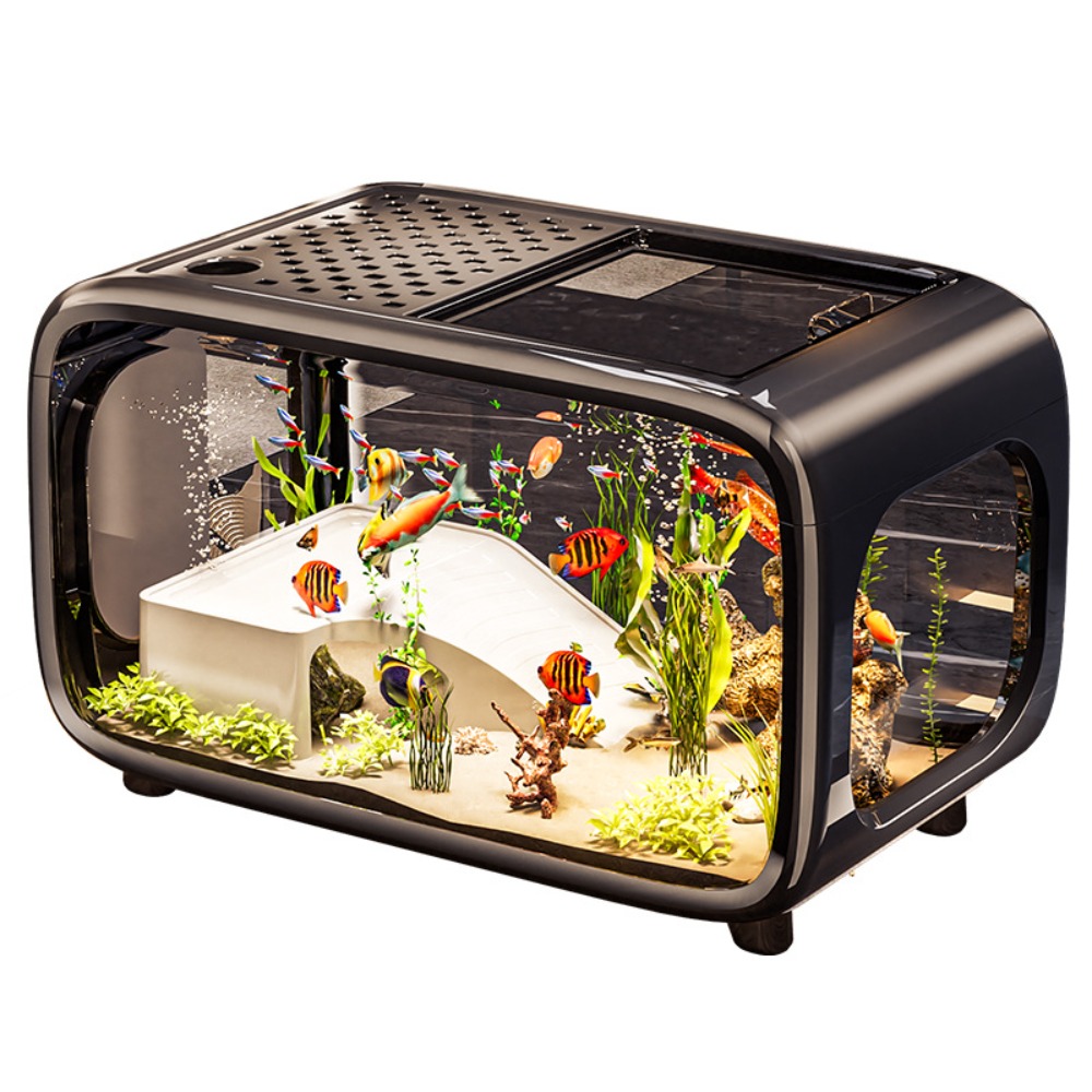 Akuarium Ikan Transparan Kreat - Live Fish Aquarium ulasan dan harga
