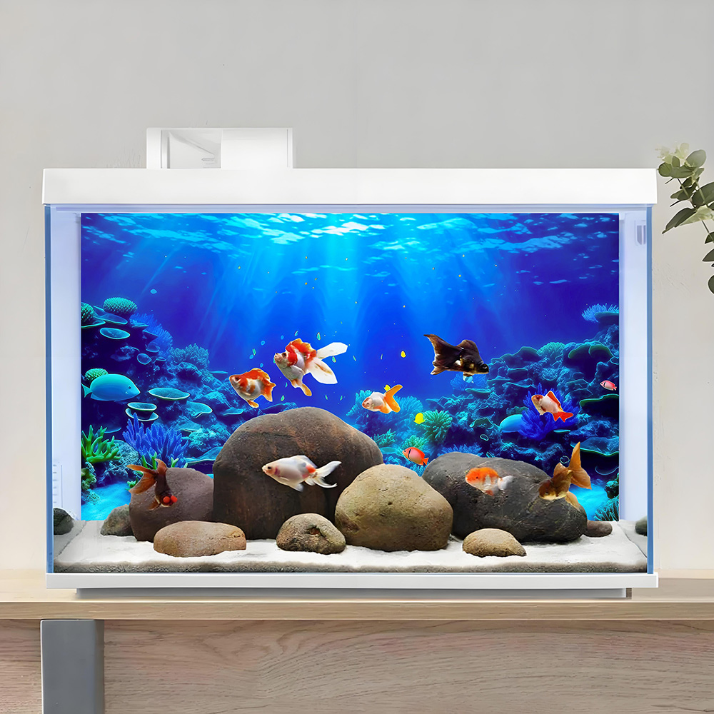 Coral Paradise, Lukisan Latar  - Aquarium Fish Paradise ulasan dan harga