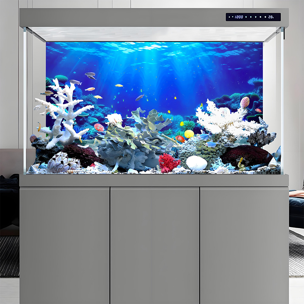 Coral Paradise, Lukisan Latar  - Aquarium Fish Paradise ulasan dan harga
