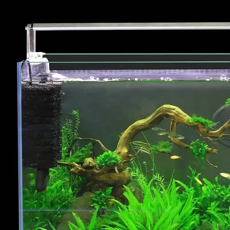 3-IN-1 Klip Pada Filter Daya L - Aquarium Fish Ball ulasan dan harga