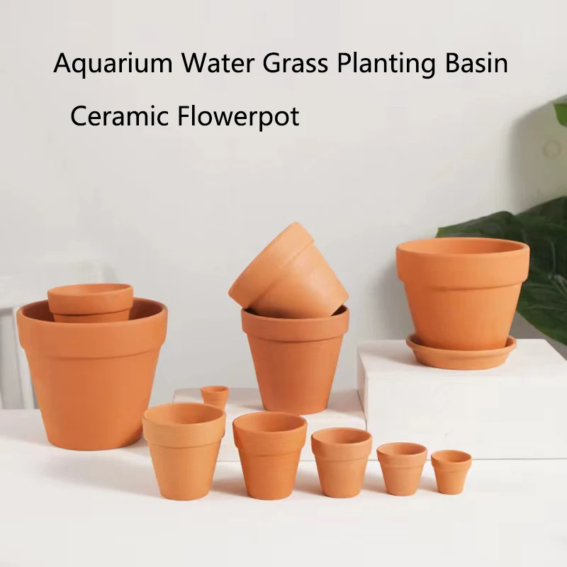 Dekorasi akuarium lumpur merah - Aquarium Fish Pot ulasan dan harga