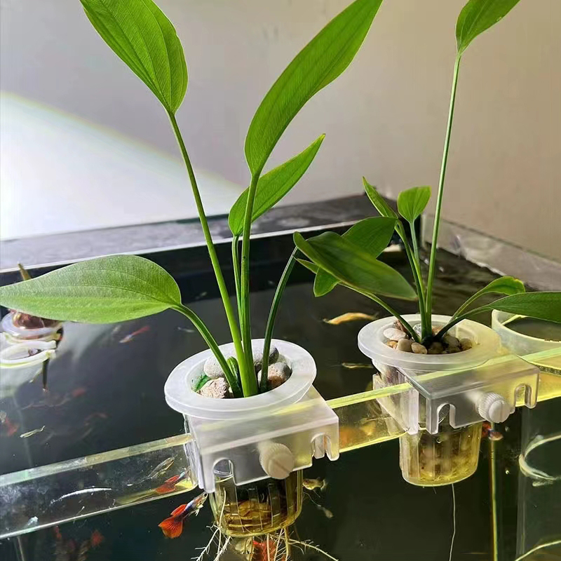 Keranjang penanaman akuarium h - Aquarium Fish Pot ulasan dan harga